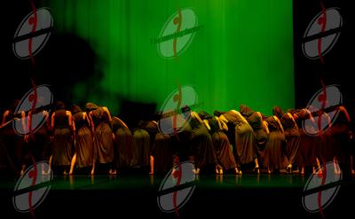 SHOW_02230.jpg